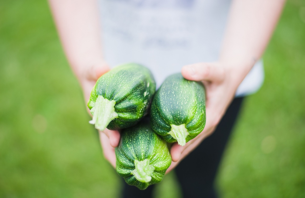 Пролетен зеленчук или плод е тиквичката? 🥒