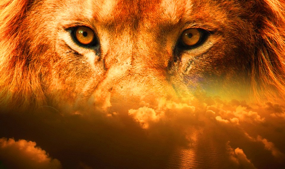🦁 8 август – Огледалната сила на Лъва и Порталът на проявлението