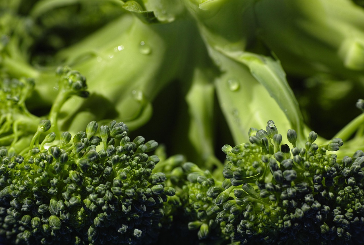 🥦 Броколи – зеленото чудо за здраве и дълголетие